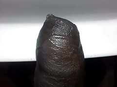 Look at my cock. My cock is amazing